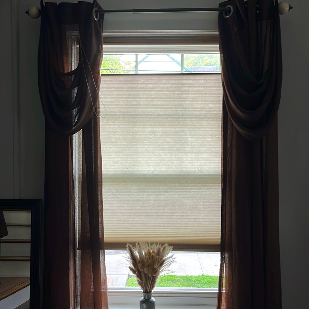 Chocolate Studio 9 Curtain Panel